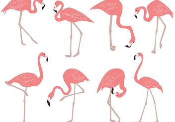 Hand Drawn Flamingo Vectors - Free vector #156651